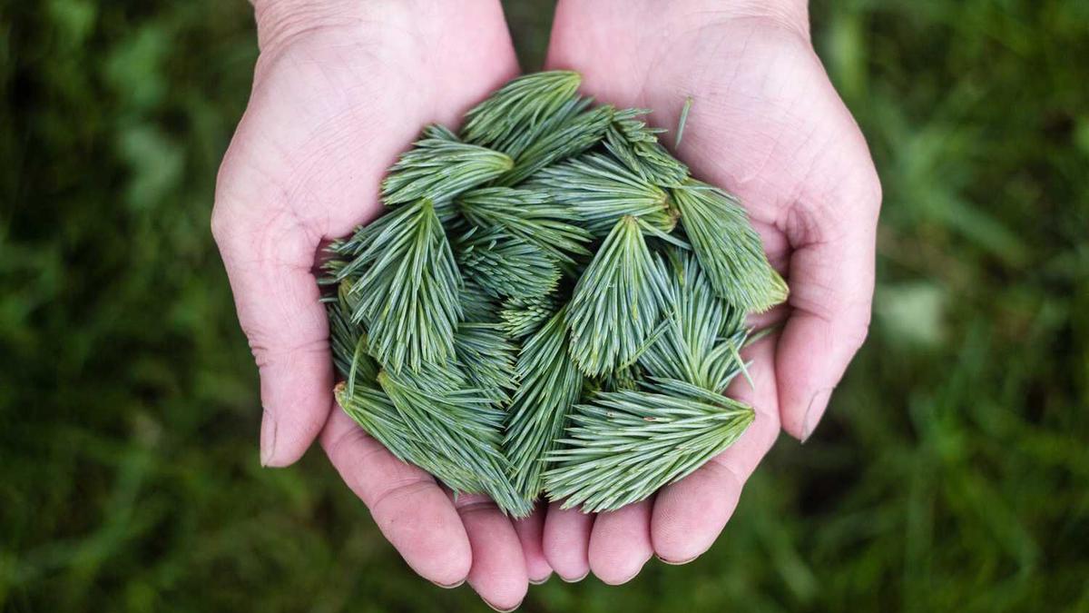 高途语文老师排名前十有哪些?