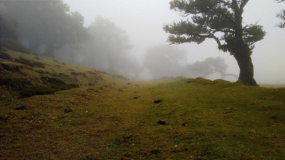 铁岭十大名菜