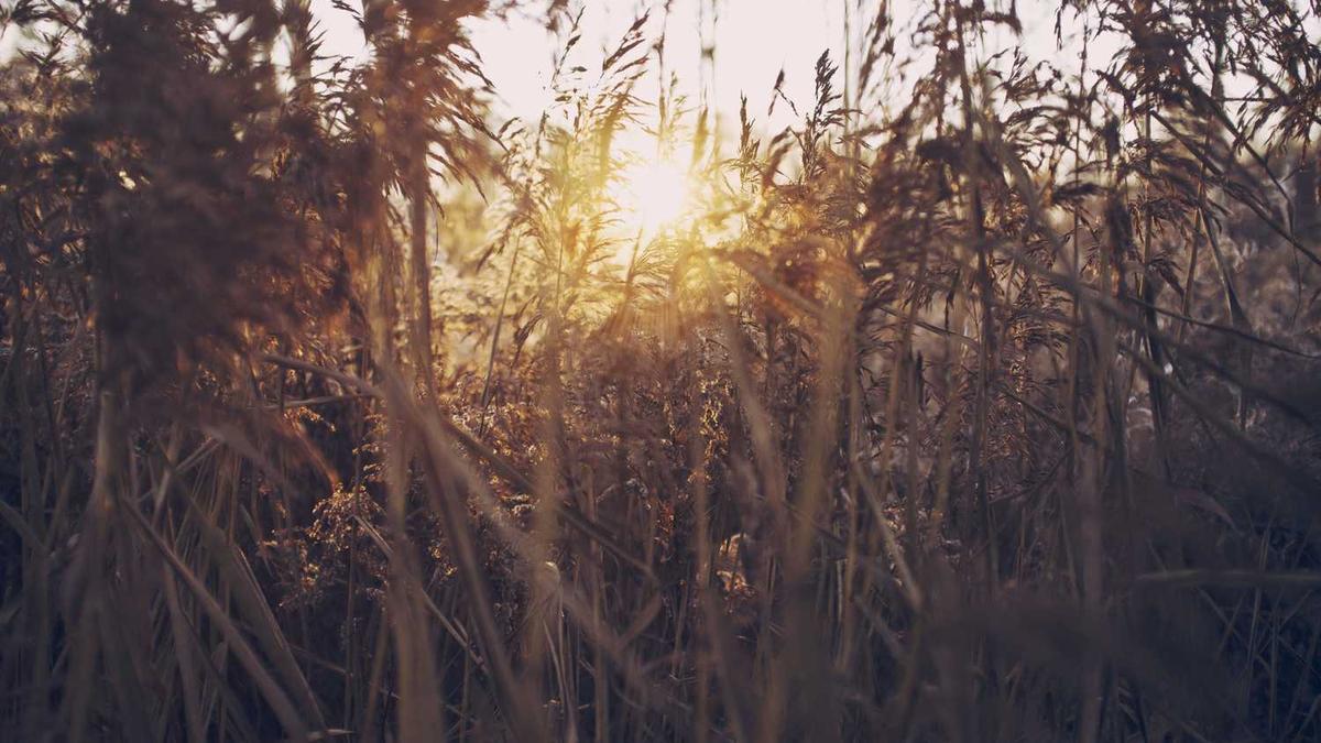 湖北省36个市一览表