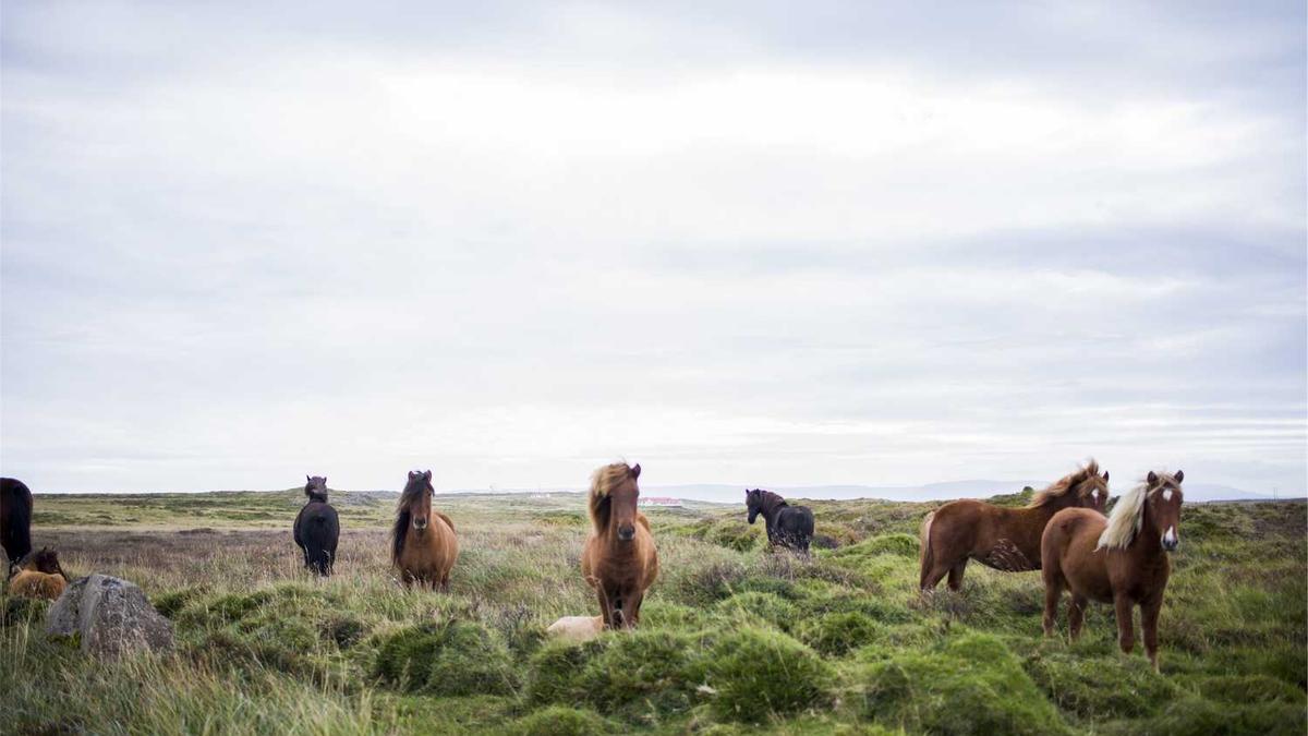迟志强犯了什么罪