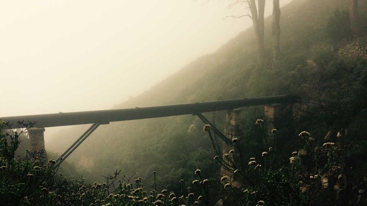 网上揭露蚌埠市委原书记方平在光彩大市场建设中的问题的文章在哪里看...