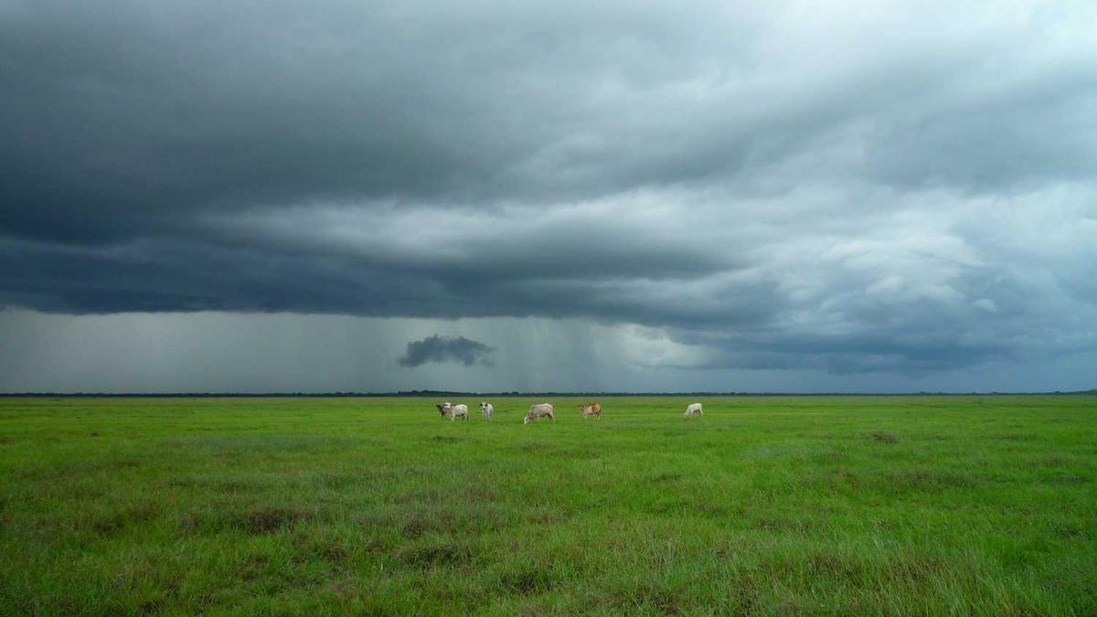 安徽一男子因与人发生口角争斗,被砍杀致死,后来怎样了?