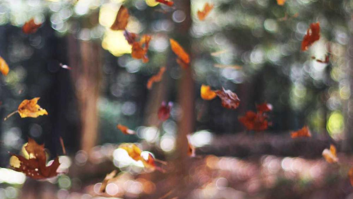 鞍山是哪个省的城市