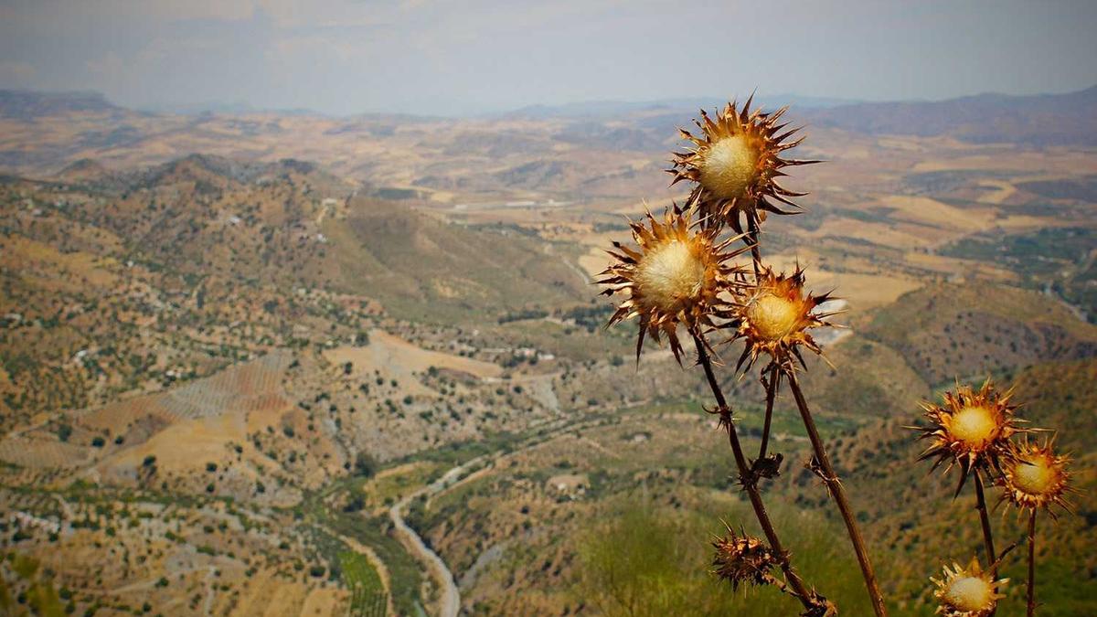 湘潭新时代妇科医院新时代医院简介