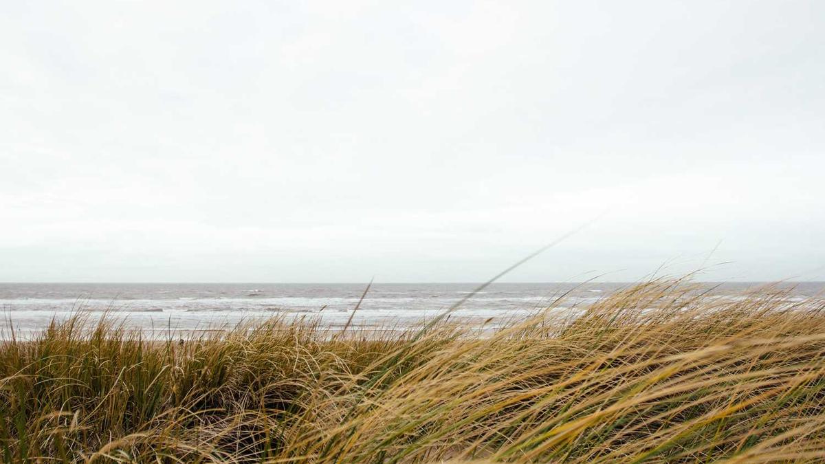 2025央视中秋晚会阵容公布 - 2025中秋晚会