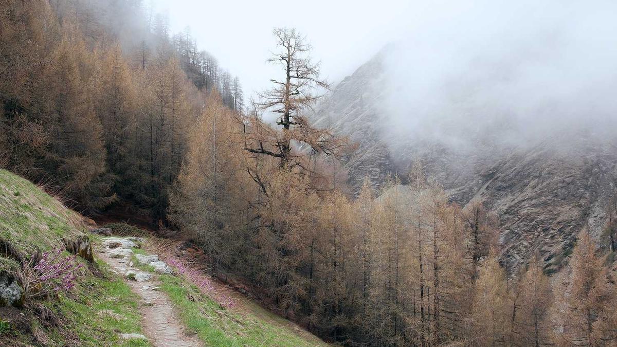 济南明湖城明湖城价格 - 济南9月新房价格环比下降