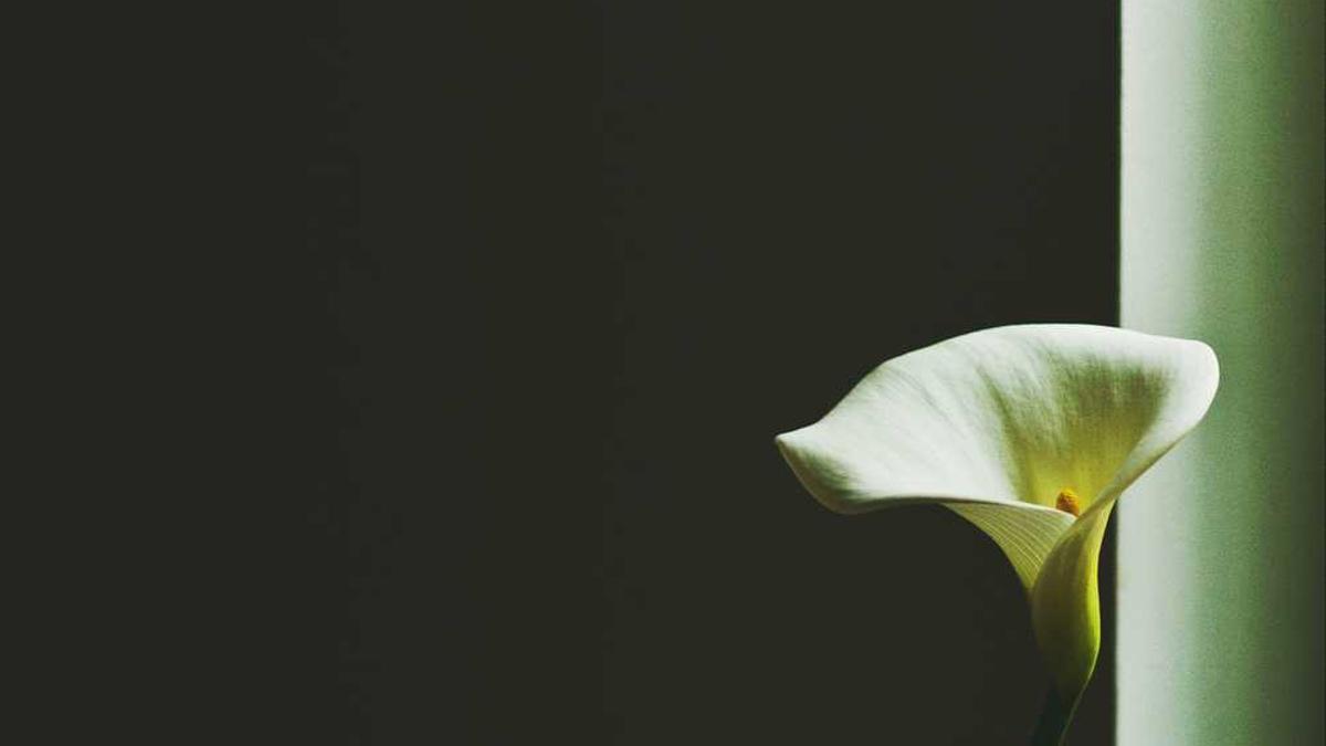 天津有哪些著名书画家 - 天津知名书画家