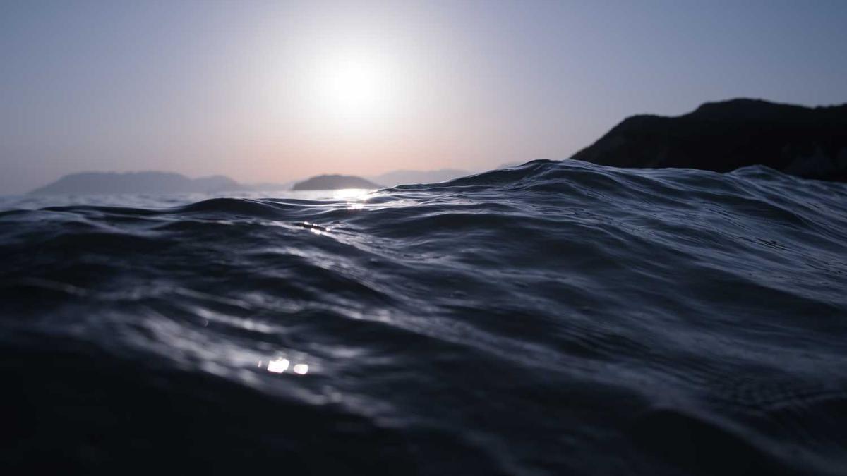 天津著名画家有哪些 - 天津知名书画家