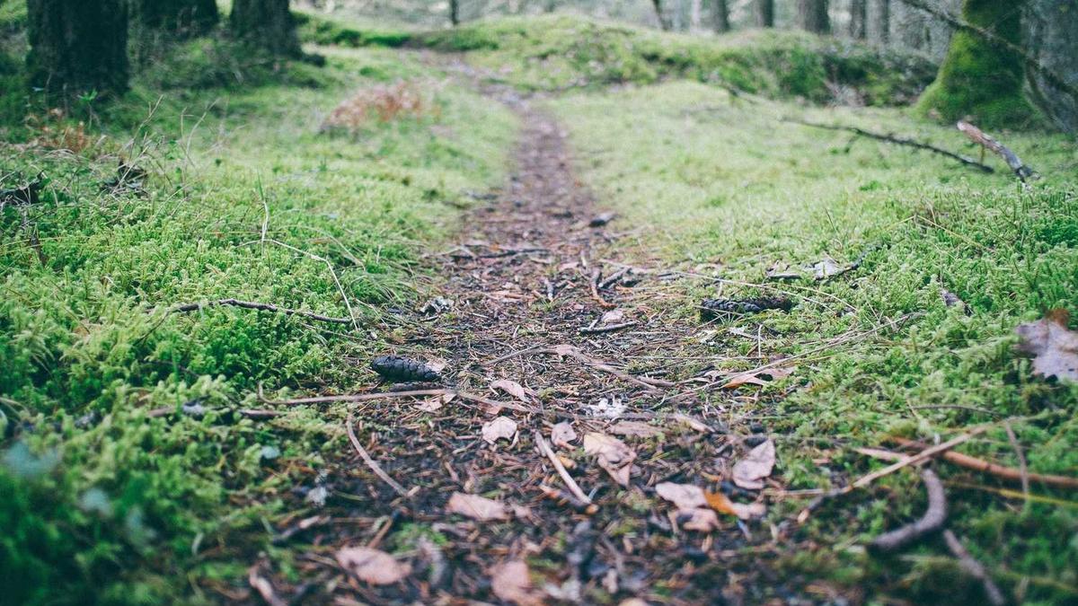 沃音乐怎么开通-如何成为沃音乐会员 - 台州演唱会权益卡上新