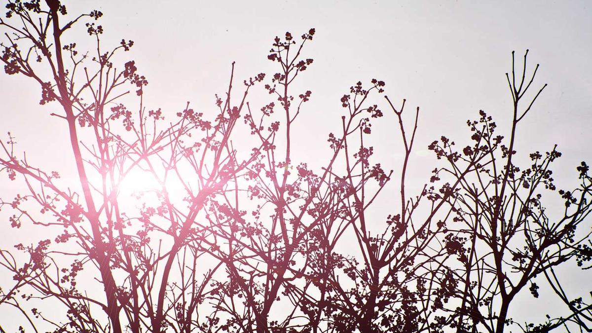 不设市辖区的地级市的历史 - 东莞地图全图