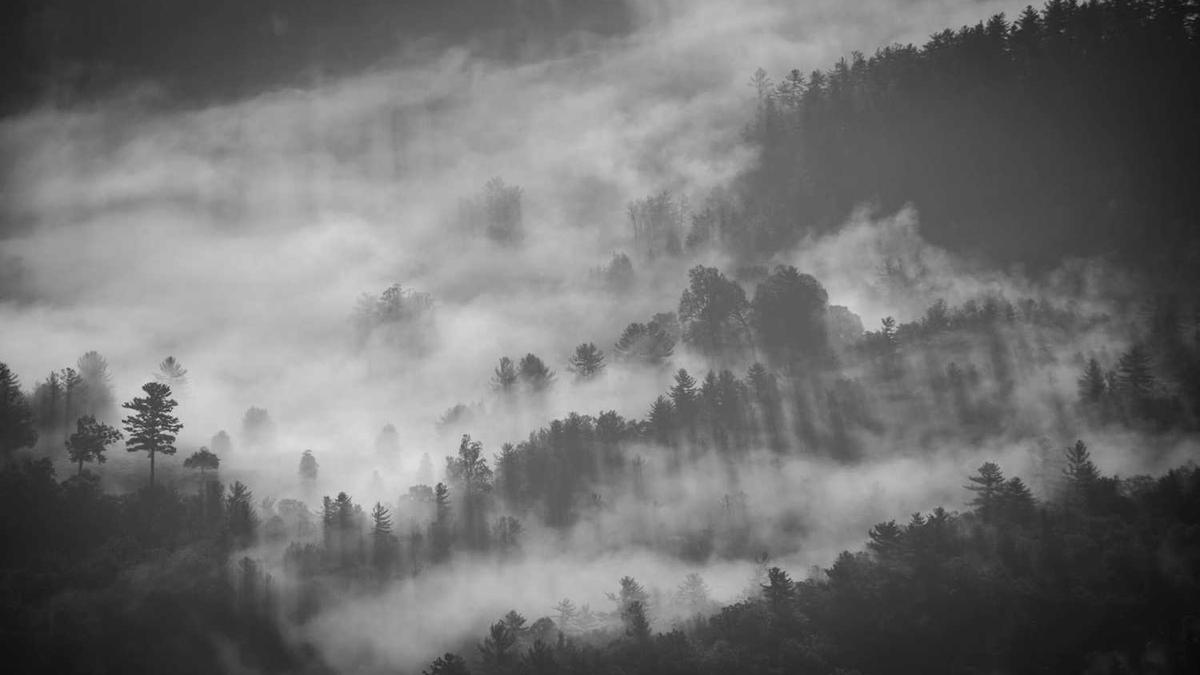 今晚天气预报赣州 汕头天气怎么样 - 赣州天气预报15天查询