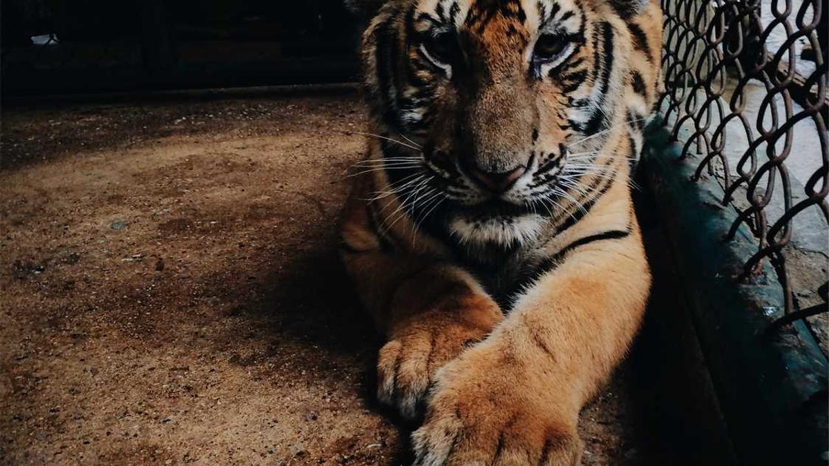 4-5日又有弱冷空气补充,广东人大衣继续穿起来 最新广东天气预报 - 韶关天气预报