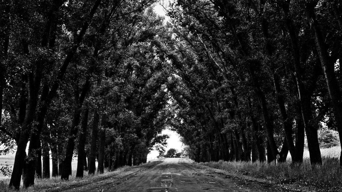 蓝如料河池市人民(民族)医院副院长 - 河池市第一人民医院