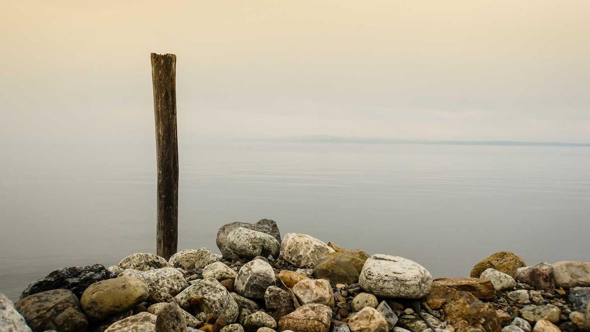 从生命一号到生长激素,聊一聊长春高新的暴跌 - 长春高新股价连续6天下跌