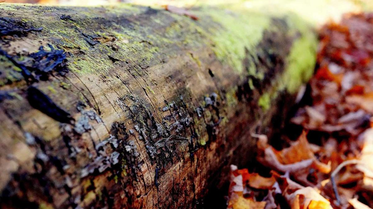 青岛演唱会2024时间表 - 青岛国信演唱会