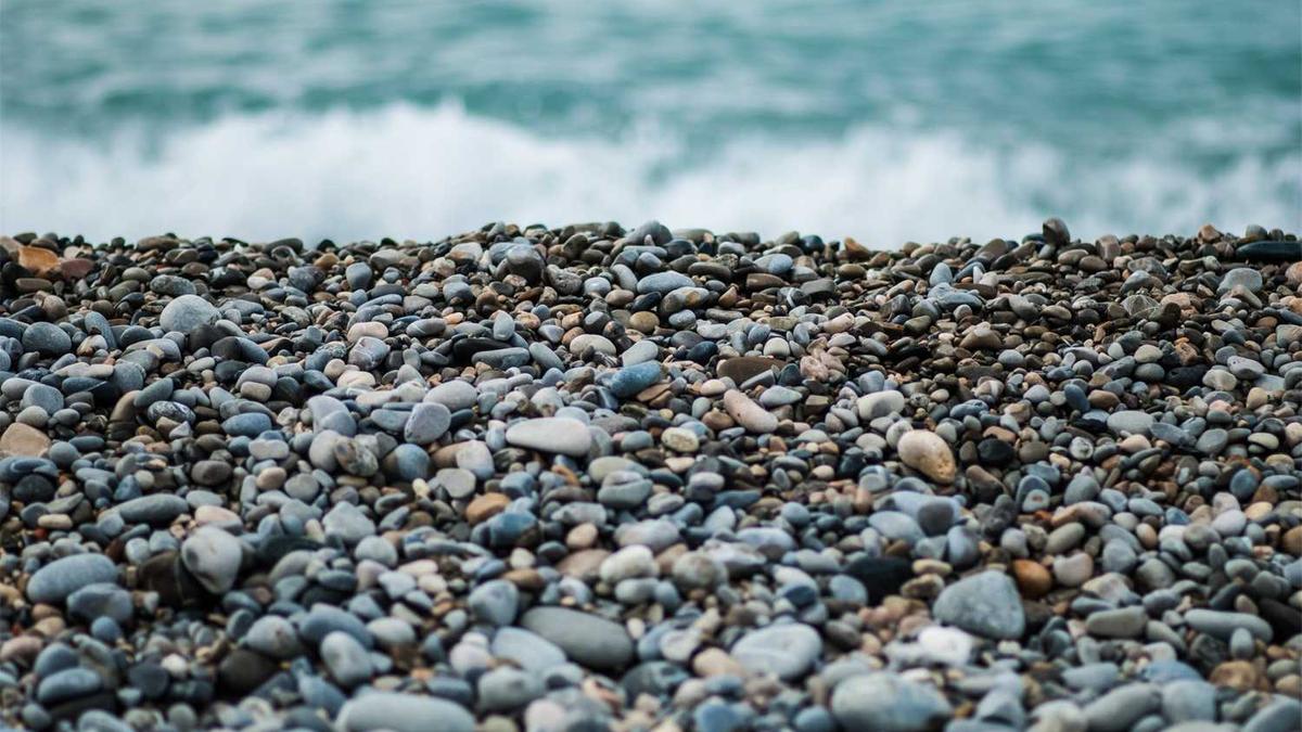 马巷街道参观“厦门抗战风云暨英烈事迹展”活动方案 - 厦门机场举办通航纪念日活动