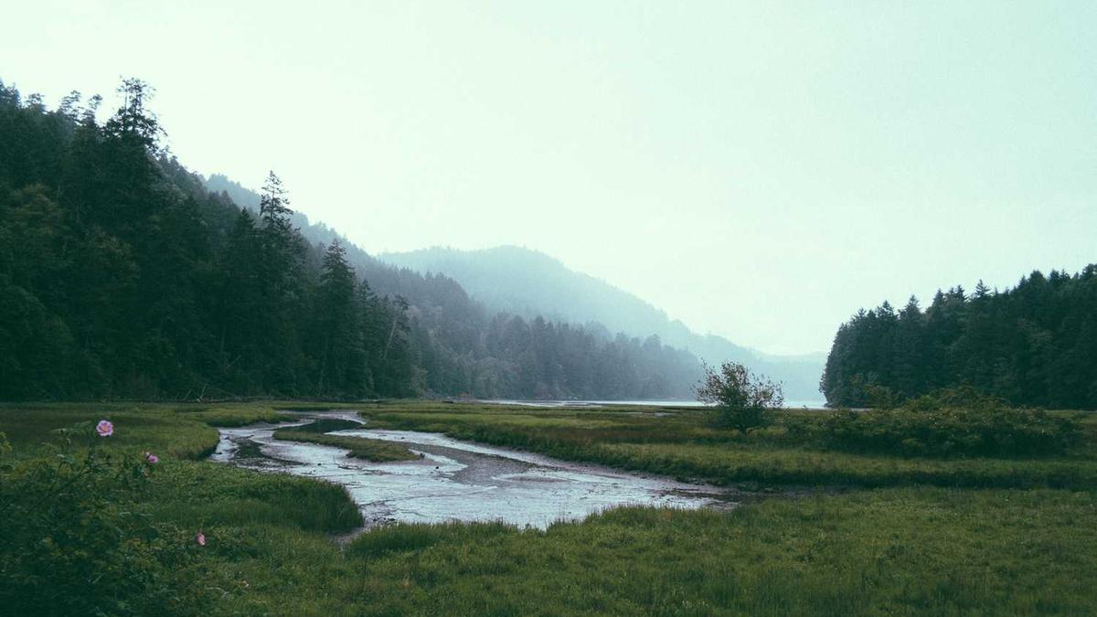 2023年云浮各区县GDP排行榜 云浮的gdp是多少 云浮各区县经济实力_百度... - 云浮gdp