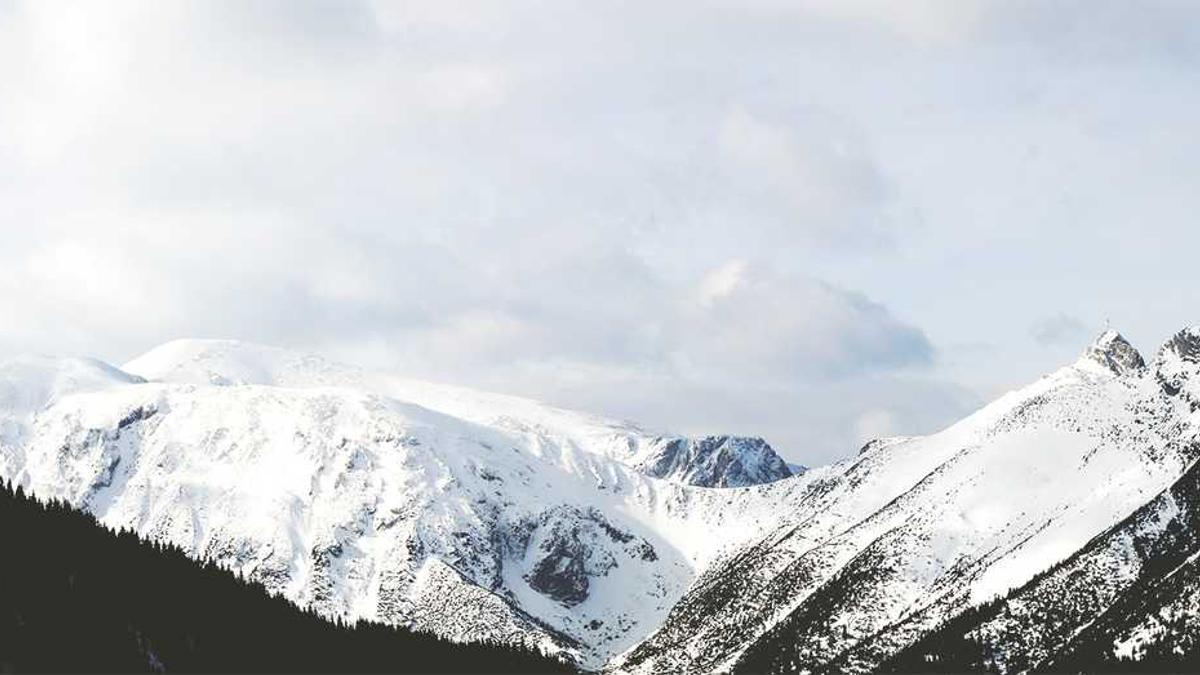 宁波华翔为什么亏损 - 宁波华翔