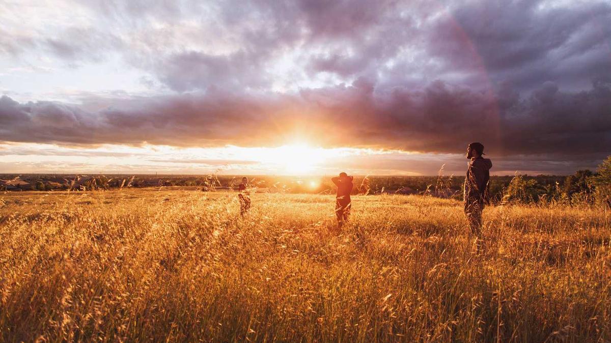 山东聊城市的本周天气 - 聊城天气