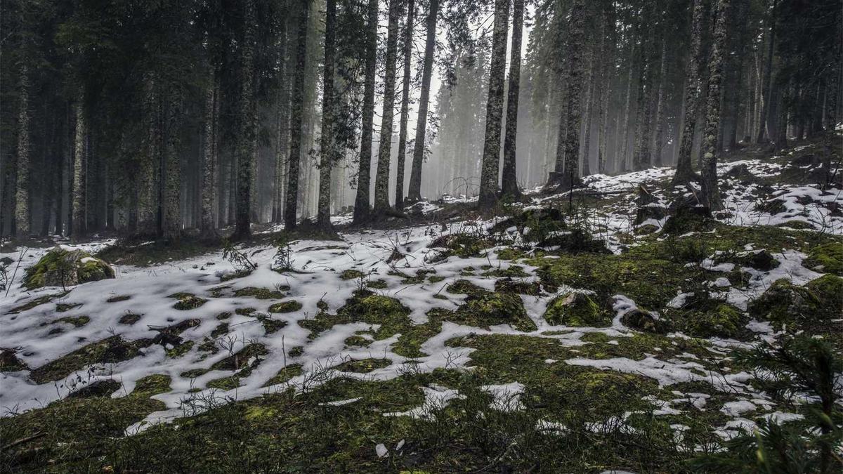 湖州中医院迁建又有新进展,仁皇山医疗短板即将补齐! - 湖州这一高速改扩建迎来新进展