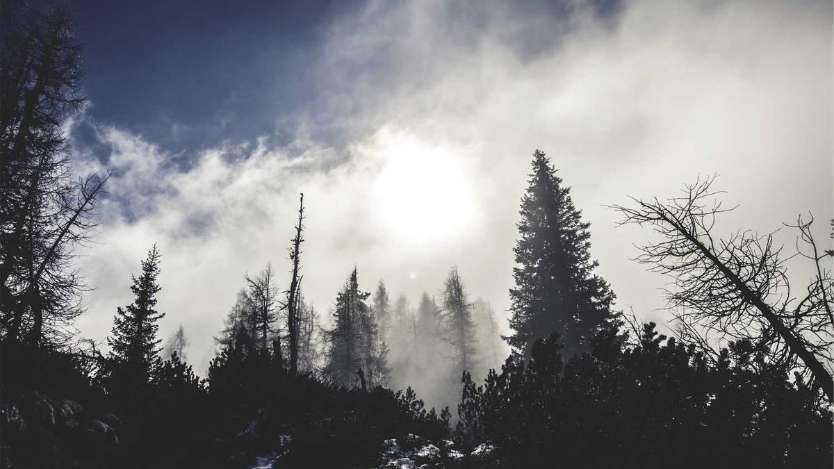 昆明城市学院位置在哪里 - 昆明城市学院官网