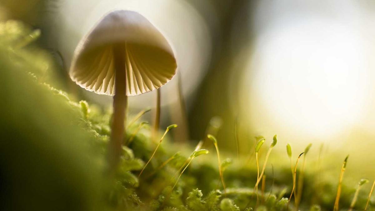 鞍山气象局在什么地方? - 鞍山天气预报