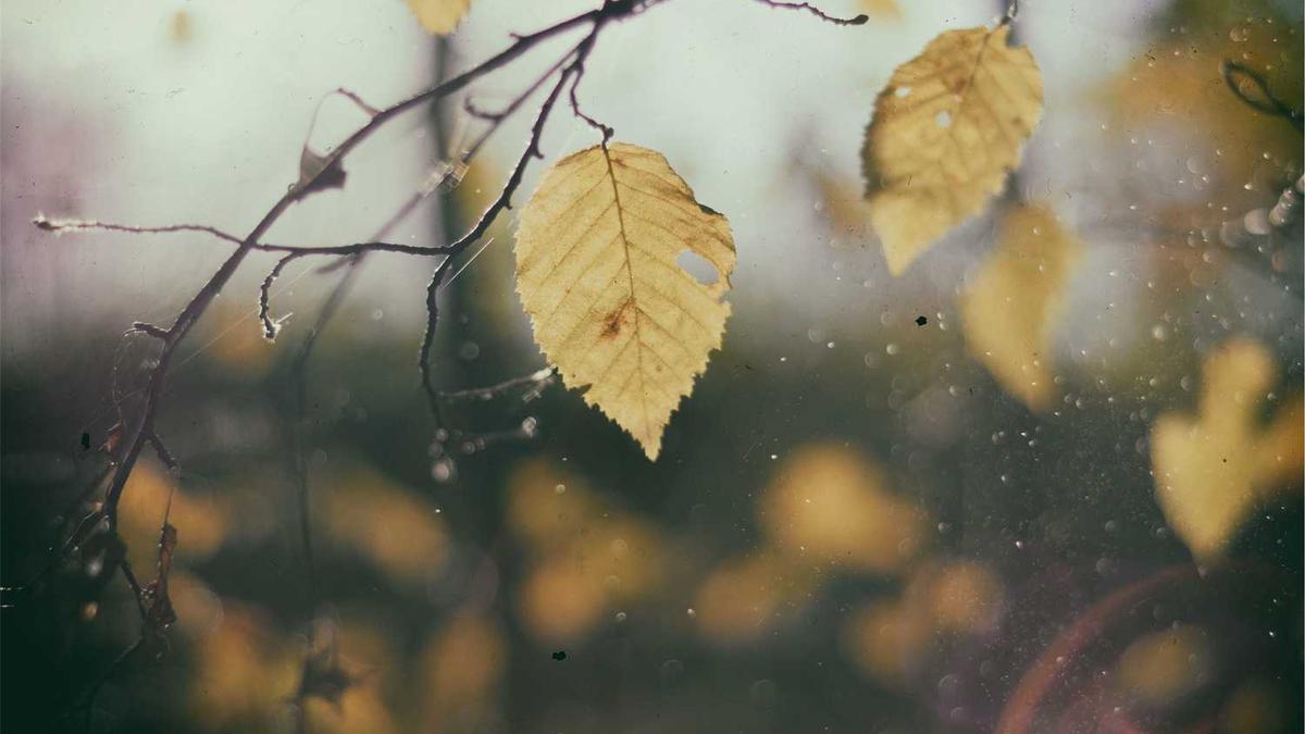 美容院做水疗用什么产品 - 女性私处按摩精油效果怎么样