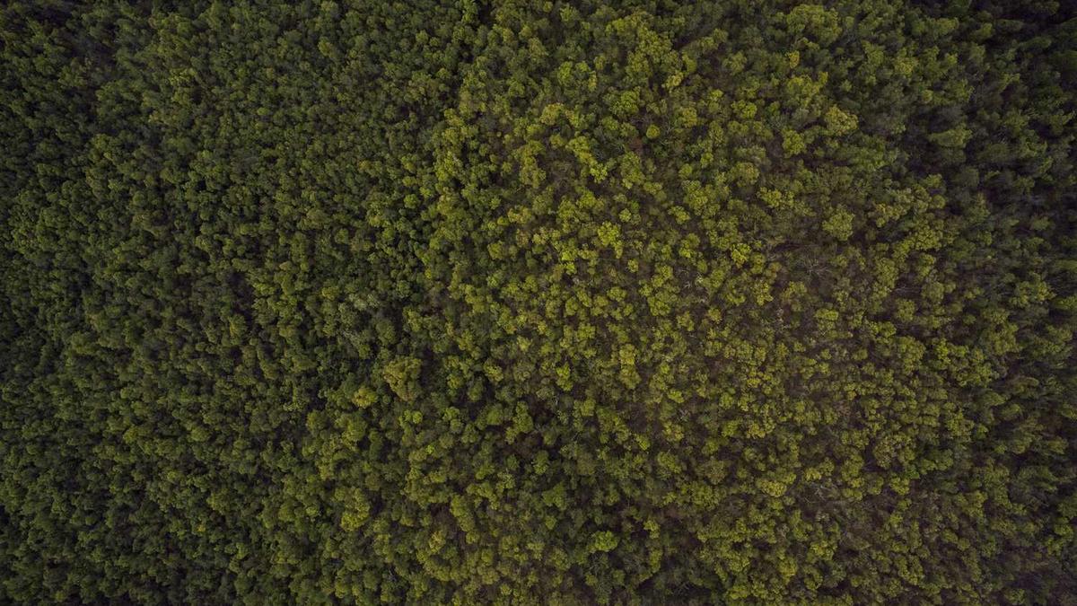 苏荷玉女油真的效果吗 - 女性私处按摩精油效果怎么样