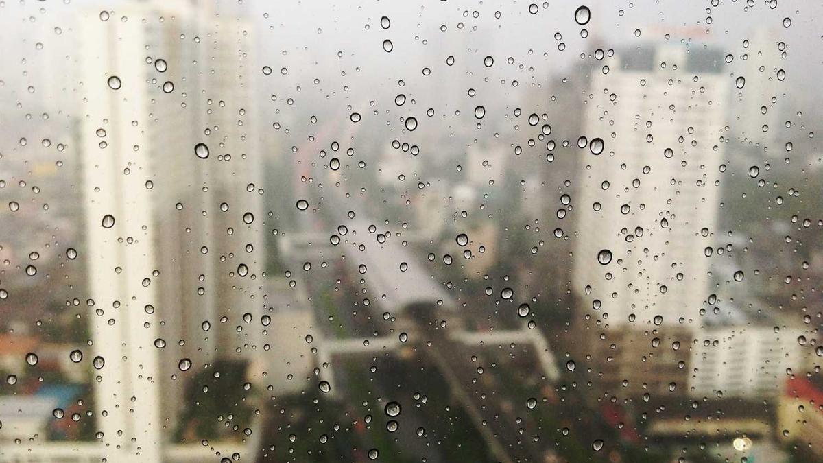 河南省周口市城区地图 - 周口地图