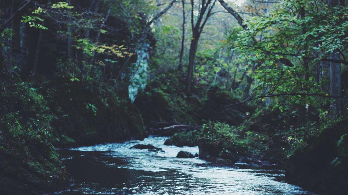 镇江市体育场馆运营管理模式 - 镇江市举办社会组织服务活动