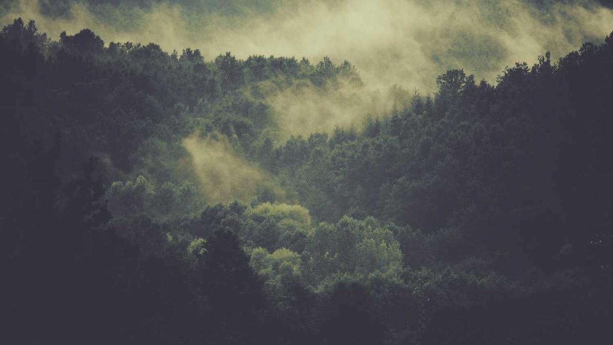 请高手解答:五指山上人中人。请猜生肖 - 五指山上人中人