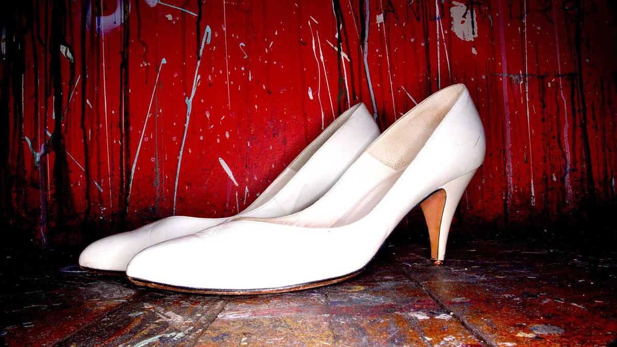 合肥市城市养犬管理条例 合肥城市养犬管理条例 - 合肥一市民家中爬进不明动物