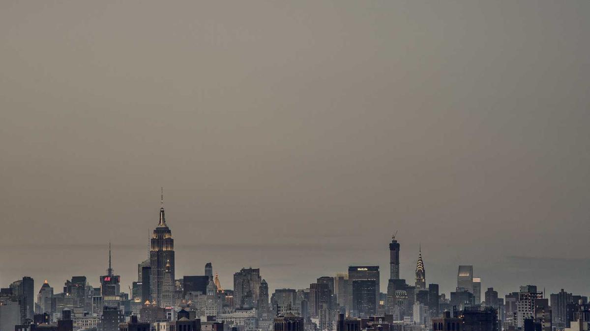 经典脑筋急转弯大全 - 合肥一市民家中爬进不明动物