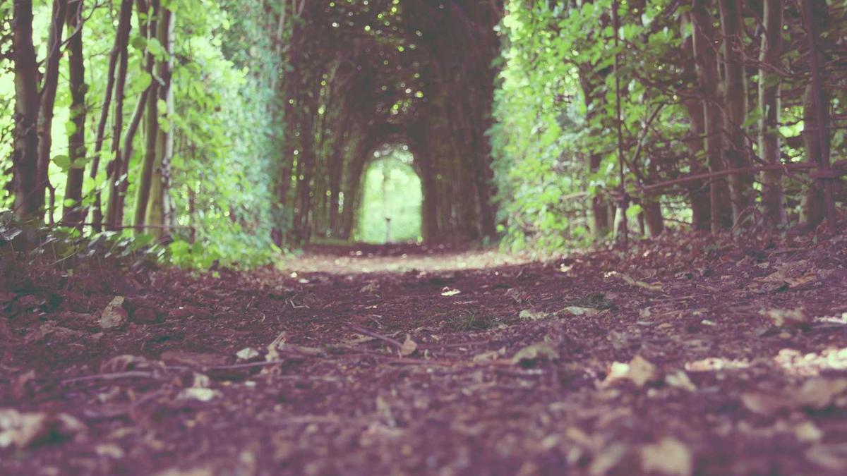 环保匿名举报会受理吗 - 泰州一区生态环境局主任举报