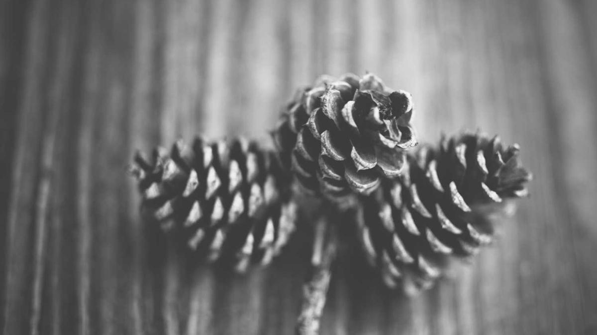 国家市场监管总局认证监管司领导一行赴上膳源泰州农场调研 - 泰州一区生态环境局主任举报