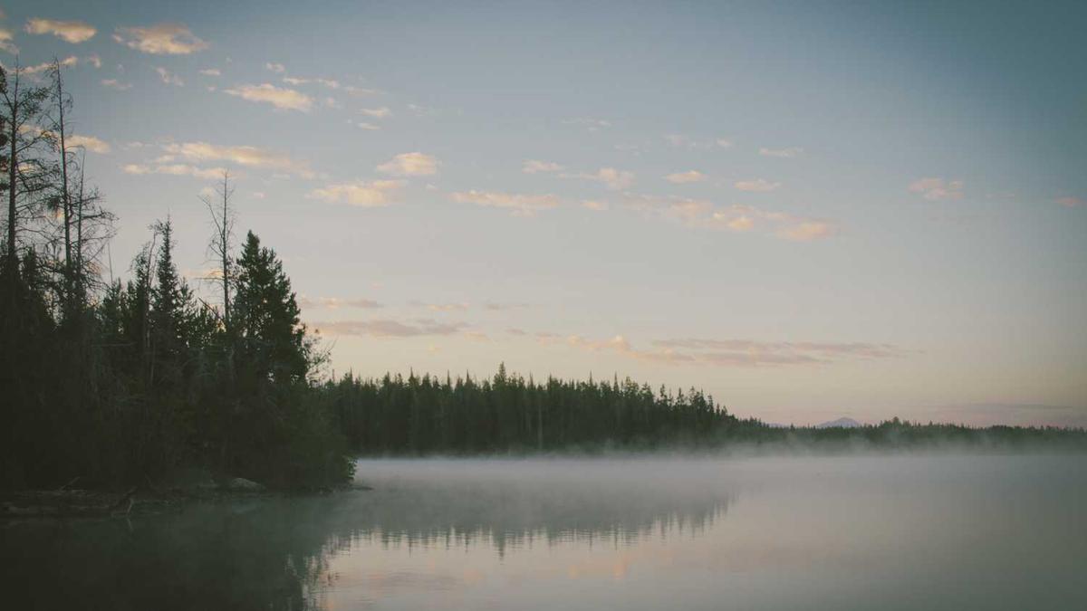 怎么泡夜场女孩? - 现在小姐姐都怎么联系