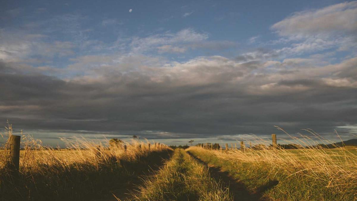 现在比较好用的约会软件有哪些? - 现在小姐姐都怎么联系