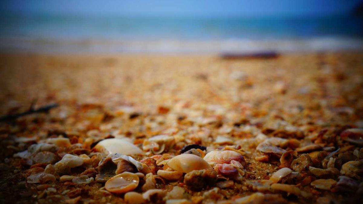 请问约会软件哪个好? - 现在小姐姐都怎么联系