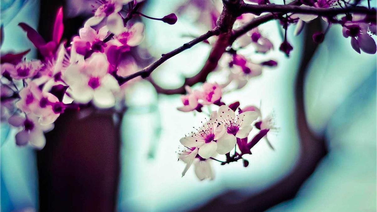 搭讪的黄金套路怎么和心动的女孩搭讪 - 现在小姐姐都怎么联系