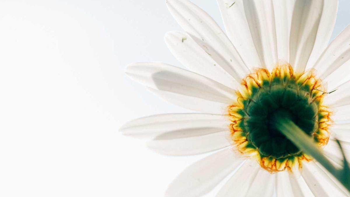 郑智化为什么道歉 - 深圳机场发文澄清郑智化事件