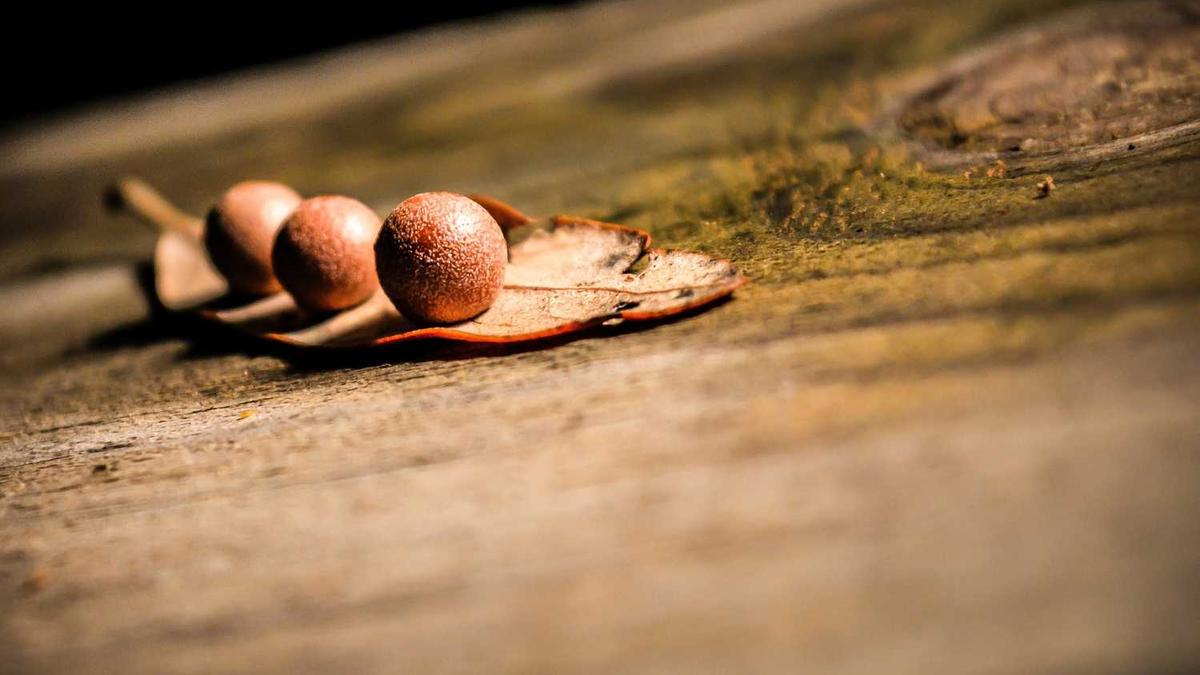 厦门旅游必去十大景点 - 厦门旅游景点攻略