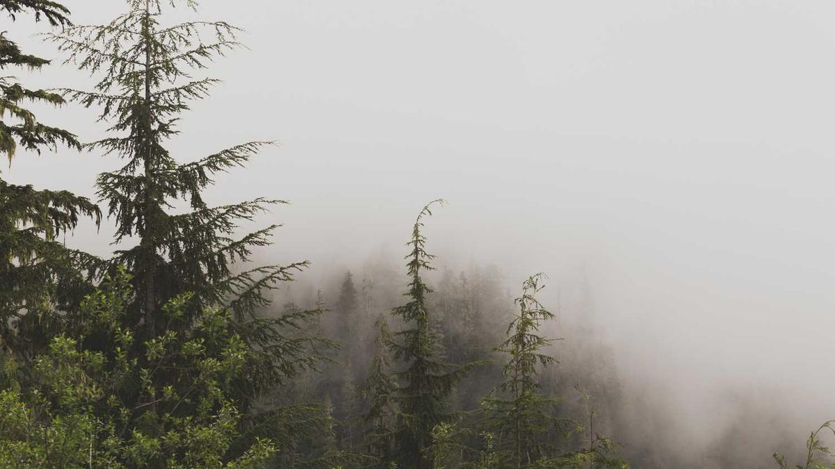 鼓浪屿旅游攻略自由行攻略 - 厦门旅游景点攻略