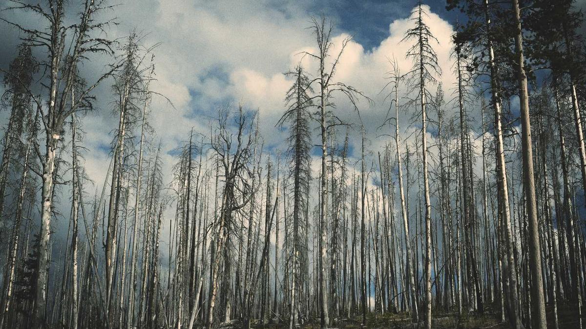 阳泉职业技术学院是公办还是民办 - 阳泉职业技术学院