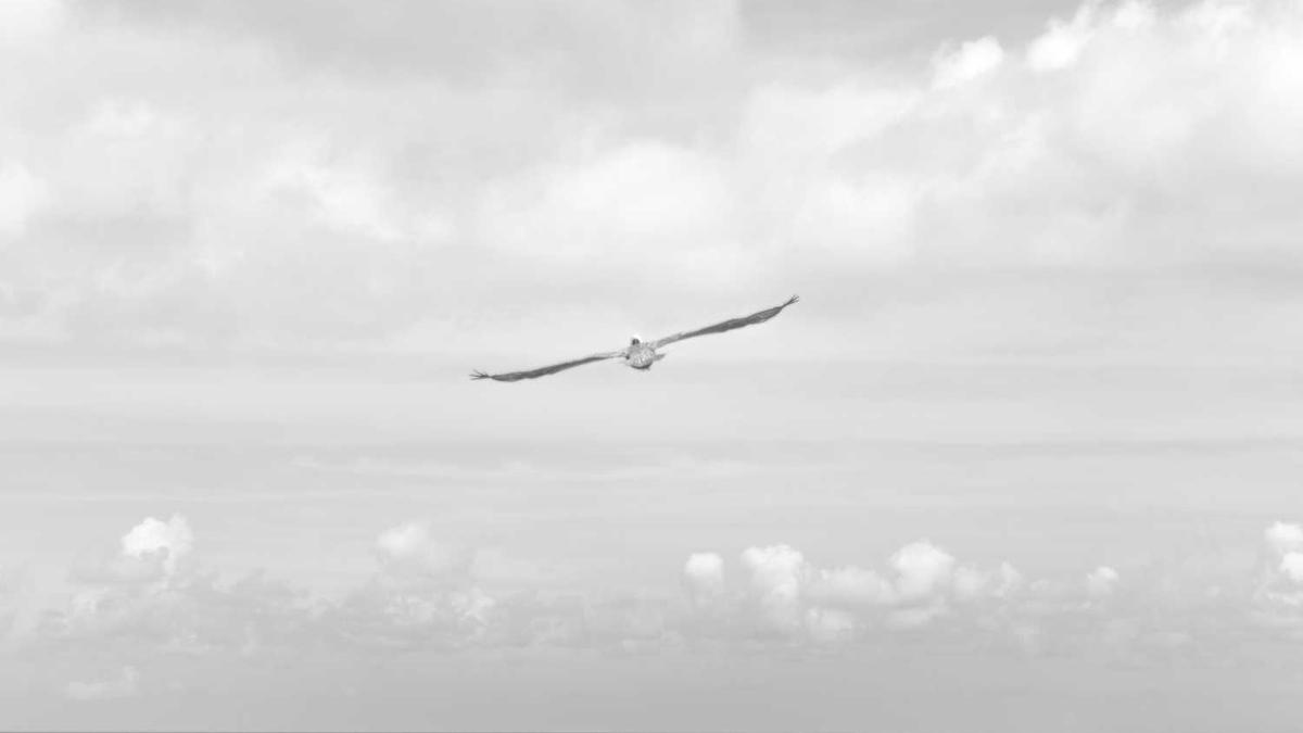 东营市新时代文明实践志愿服务网如何上传志愿服务 - 东营志愿服务网