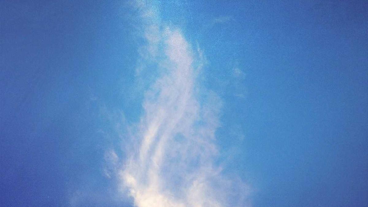 每天了解一家新公司:东方甄选 - 东方甄选将扩大山东农特产品推广