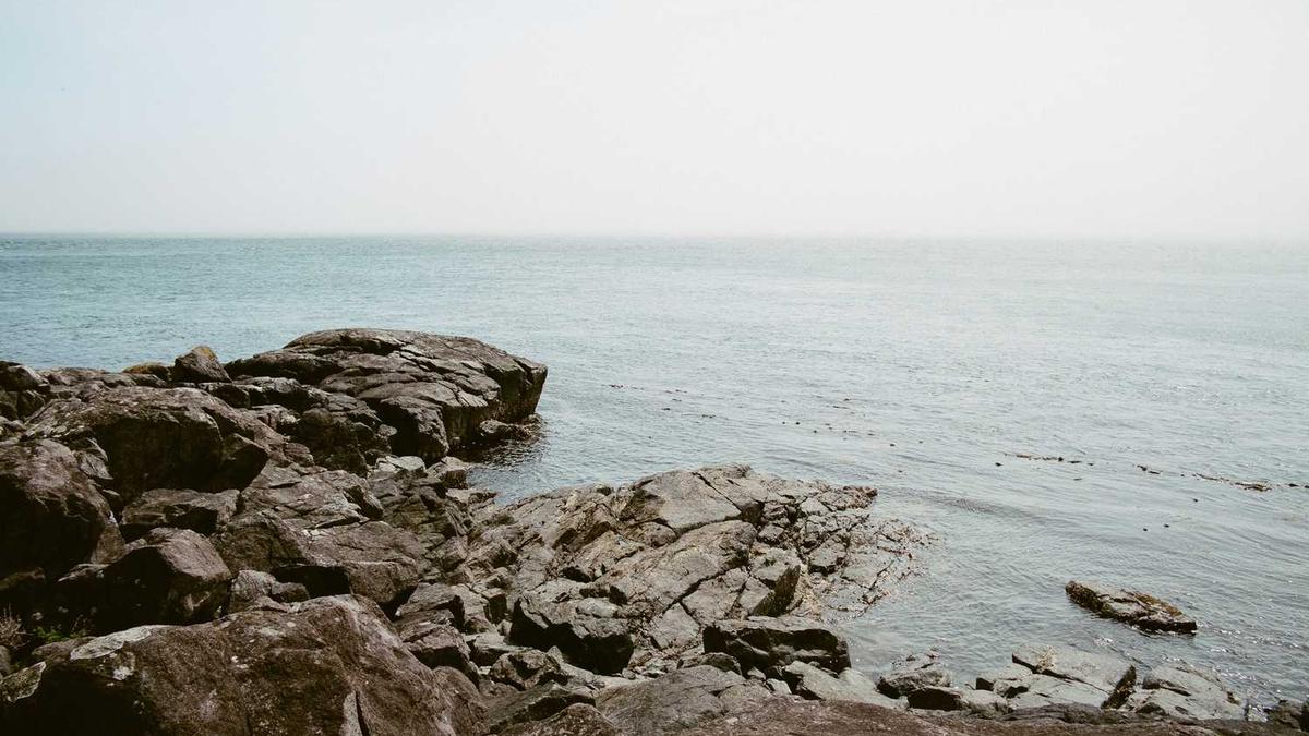 什么叫东方甄选的产品 - 东方甄选将扩大山东农特产品推广