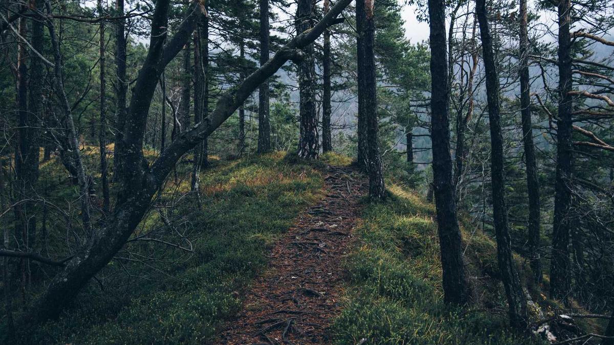 广东湛江现在热不热,穿什么衣服 - 湛江天气预报一周 7天