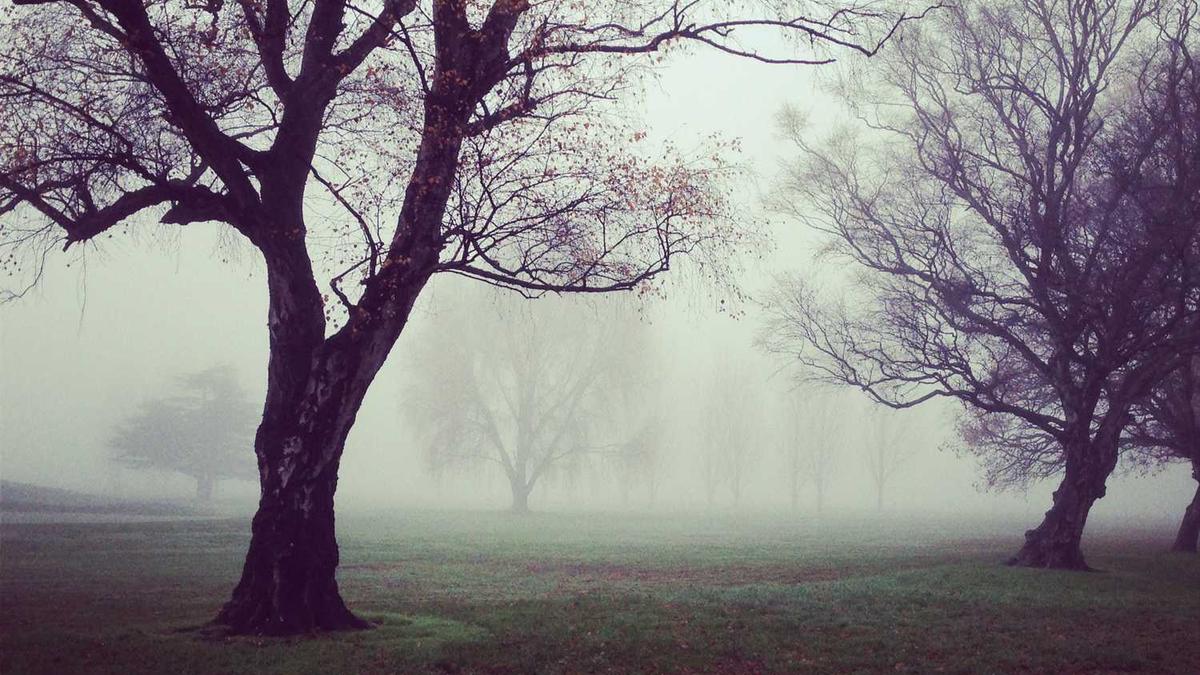 武汉首条地铁环线又有新动作 - 武汉地铁12号线穿越汉江