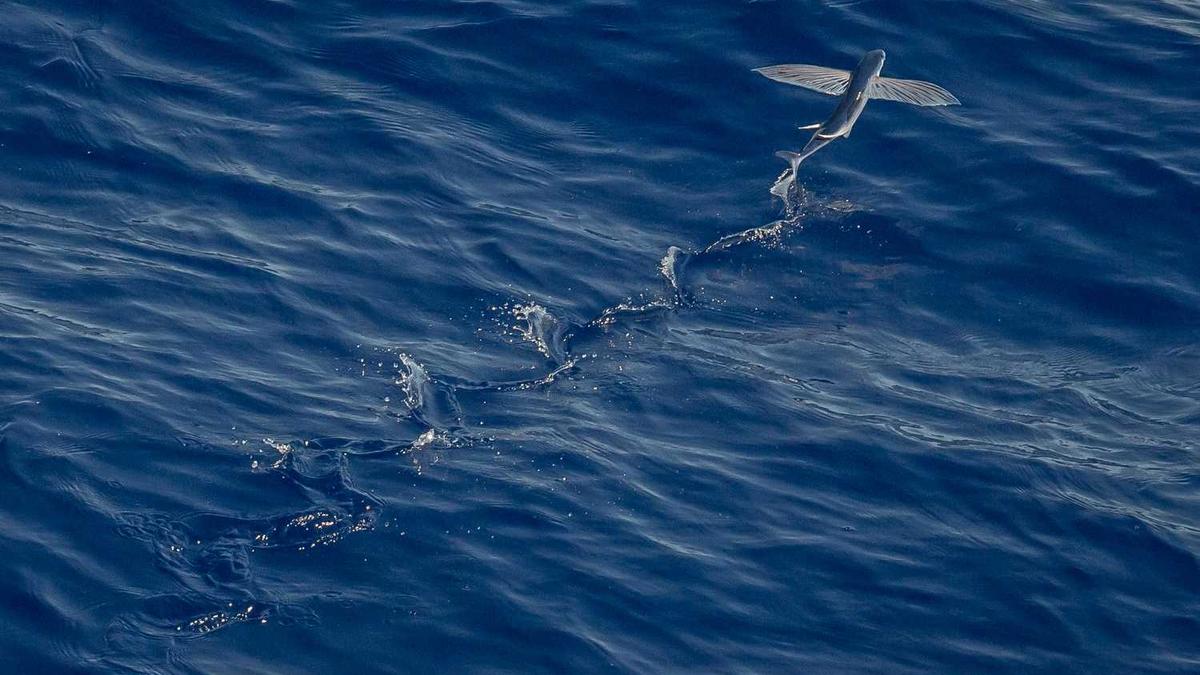 青浦晚上玩的地方 - 魔都品茶微信