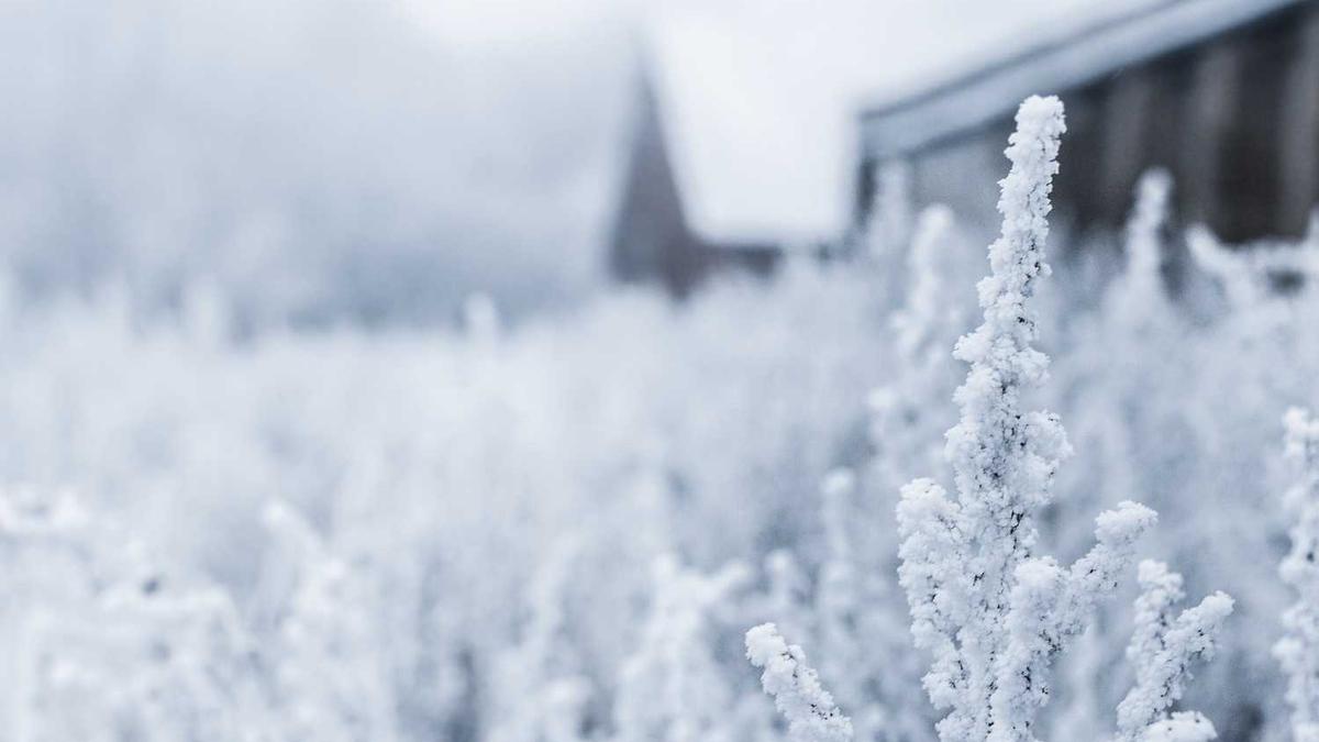 2025热播电视剧排行榜前十名 - 电视剧2025最新热播剧